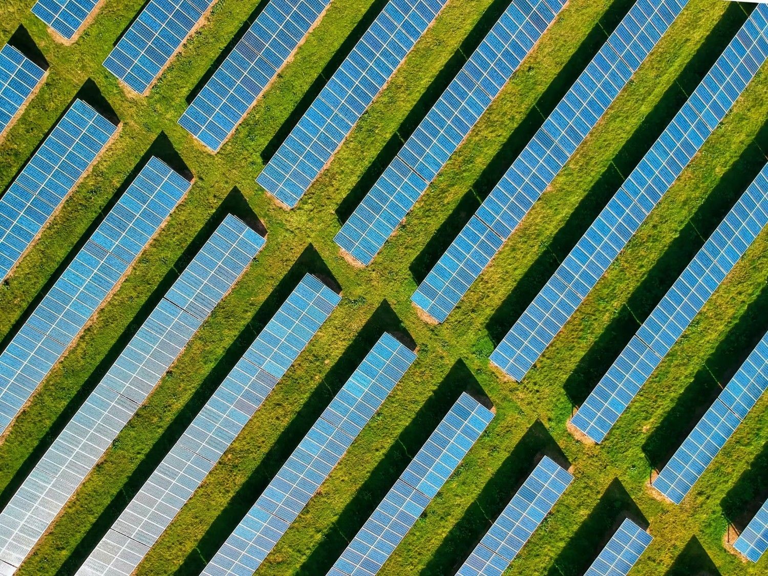Aerial view of rows of solar panels arranged diagonally with strips of green grass between them.